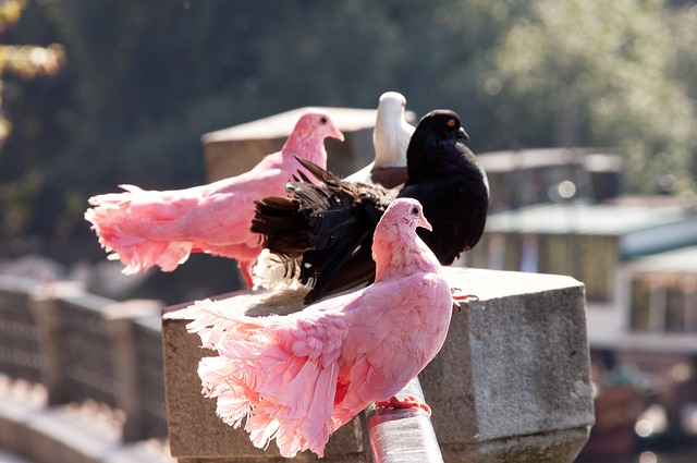 个人的去留 个人的去留