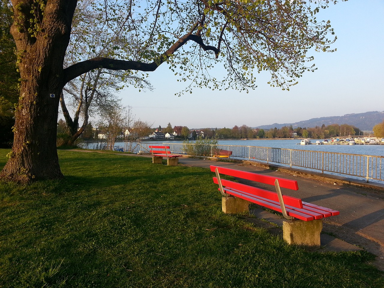 吸引了大量 吸引了大量