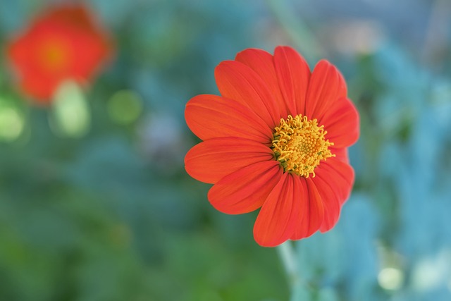 表现被誉为 表现被誉为