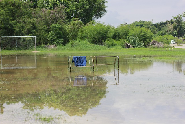 身份的划分 身份的划分