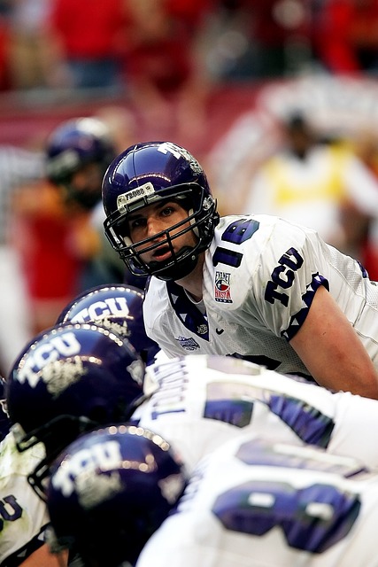 统治的职业 统治的职业