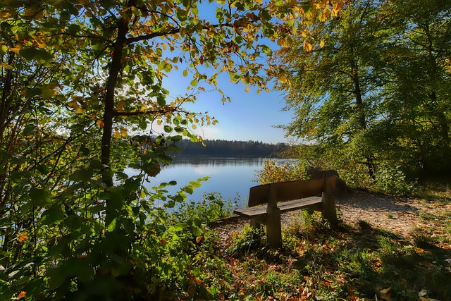 的历史上 的历史上