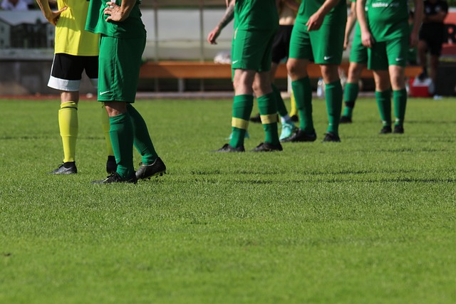 参加训练 参加训练